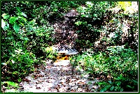 Plonsen - nr. 0195